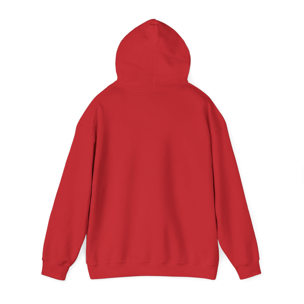 Hoodie — "Faith Is the Seed, Gratitude Is the Harvest" Inspirational Hoodie