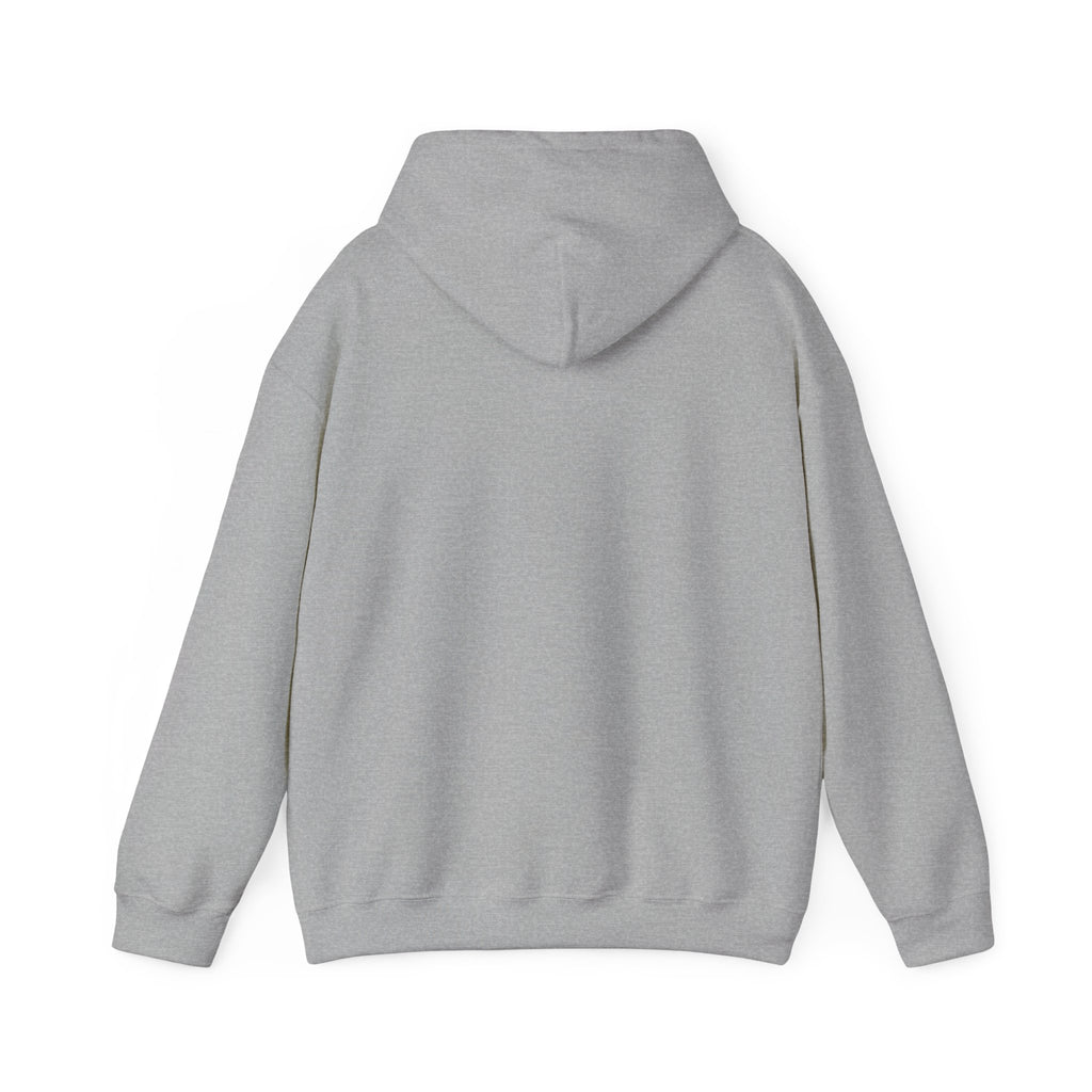 Hoodie — "Faith Is the Seed, Gratitude Is the Harvest" Inspirational Hoodie