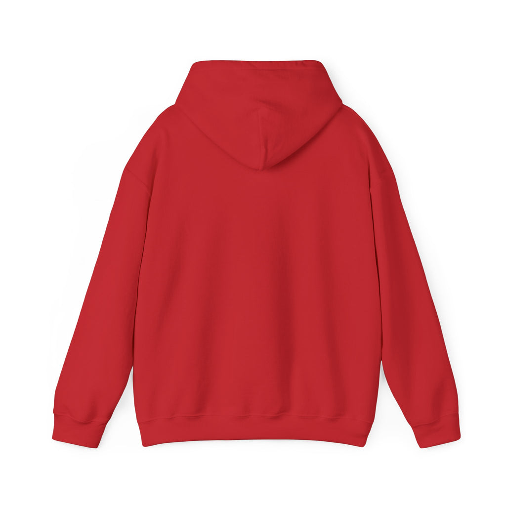 Hoodie — "Faith Is the Seed, Gratitude Is the Harvest" Inspirational Hoodie